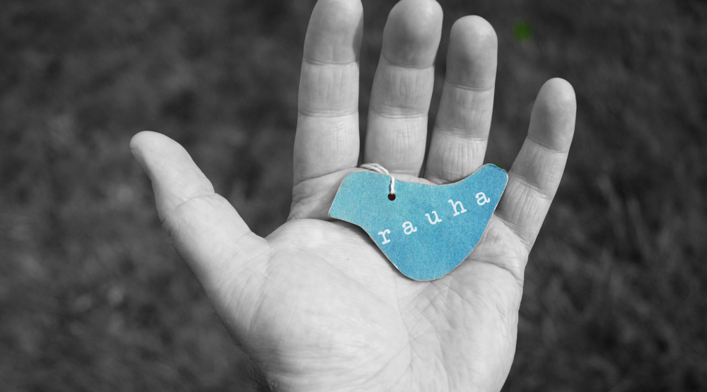 An open hand with a small cardboard bird showing the text "rauha"
